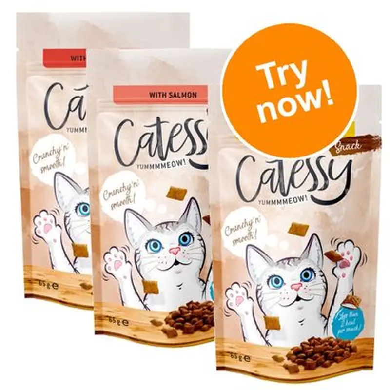 Catessy Crunchy Snacks Mixed Trial Pack 3 x 65g - 3 Varieties