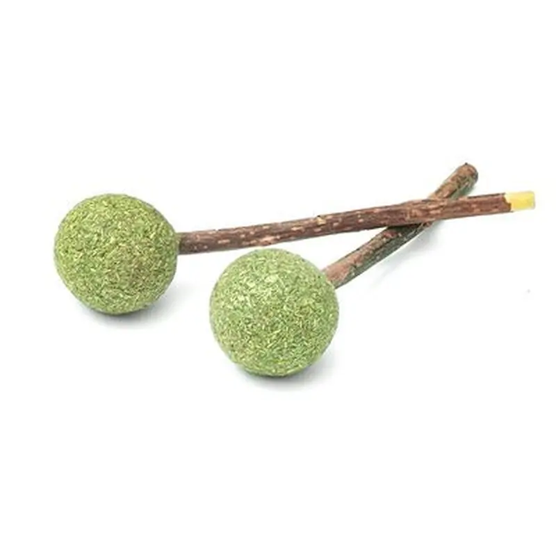 Aumller Silver Vine Dental Lollipop Cat Treat - 1 Set (2 pieces)