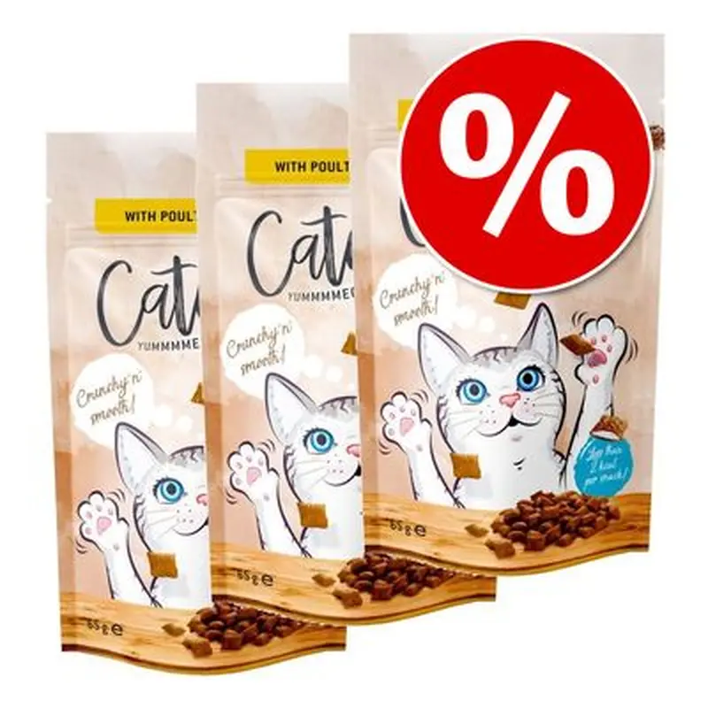 Catessy Crunchy Snacks Saver Pack 3 x 65g - Salmon, Vitamins & Omega-3