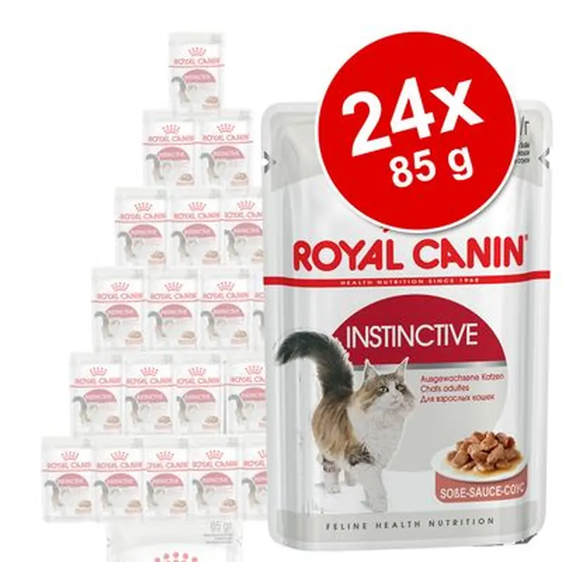 Royal Canin Wet Cat Food Saver Pack 24 x 85g - Ageing +12 in Gravy