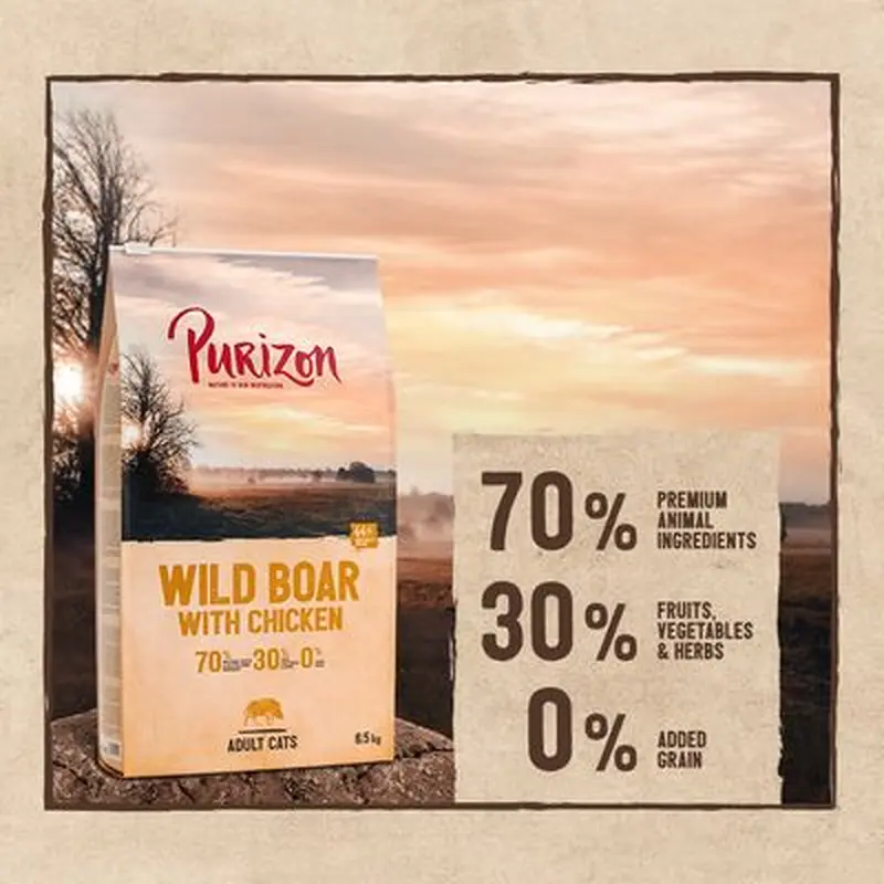 Purizon Adult Grain-Free Wild Boar with Chicken - 6.5kg