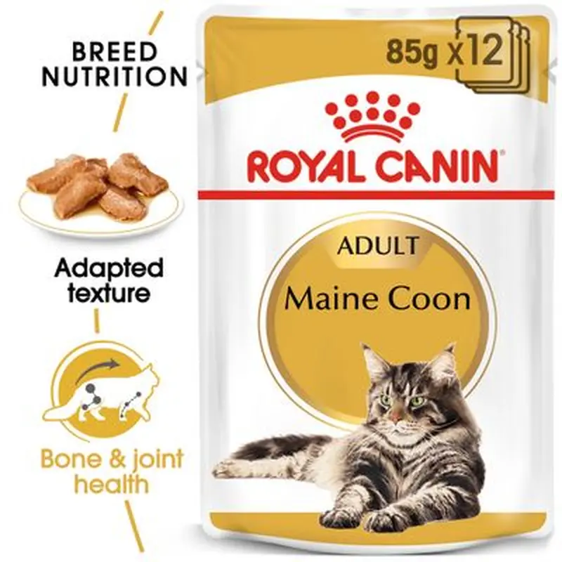 Royal Canin Maine Coon Adult in Gravy - 12 x 85g