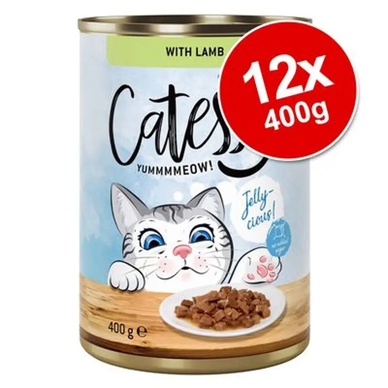 Catessy Chunks in Gravy or Jelly 12 x 400g - Chicken in Jelly