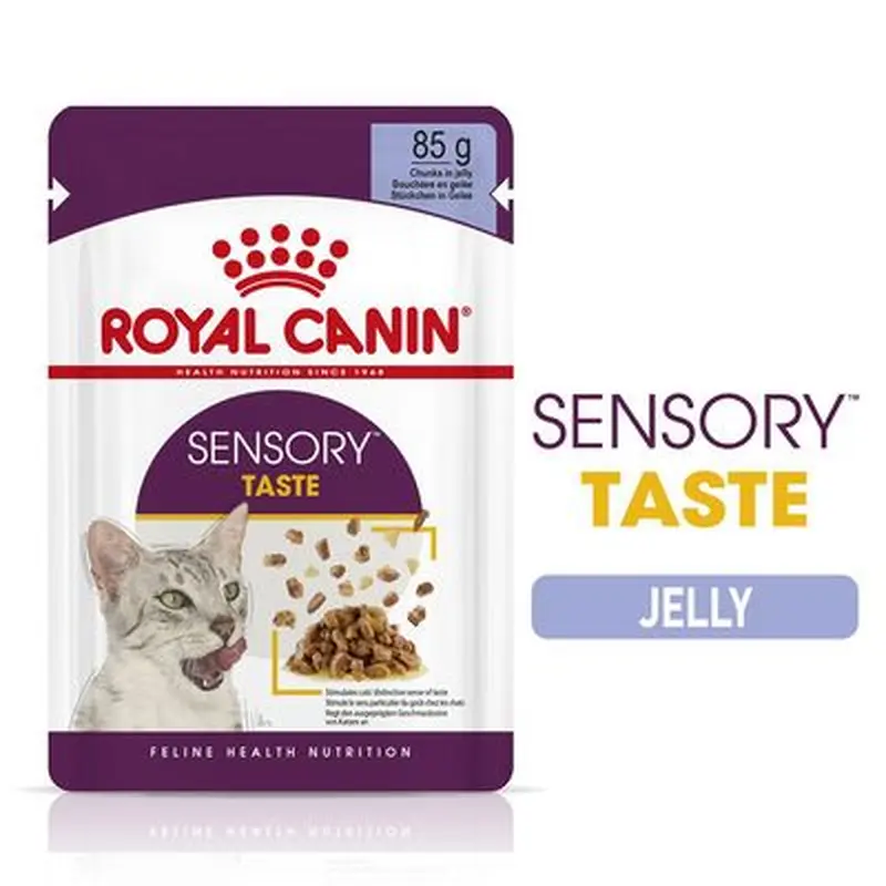 Royal Canin Sensory Taste in Jelly - 12 x 85g