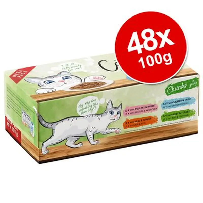Catessy Chunks Pouches Saver Pack 48 x 100g - Chunks in Vegetable or Egg Jelly
