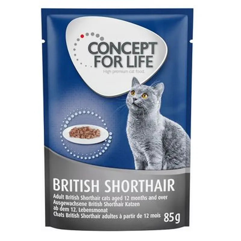 Concept for Life British Shorthair Adult - in Ragout - 24 x 85g