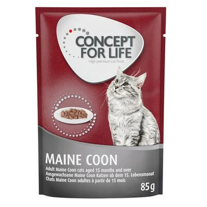 Concept for Life Maine Coon Adult - in Ragout - 24 x 85g