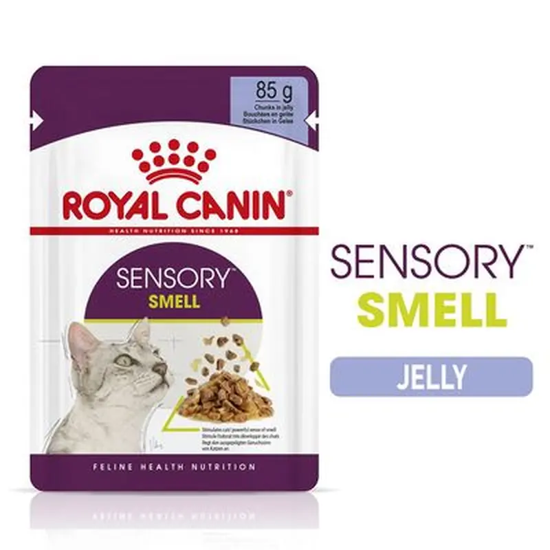 Royal Canin Sensory Smell in Jelly - Saver Pack: 48 x 85g