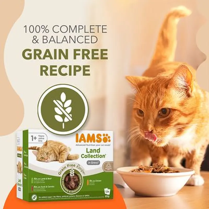 IAMS Advanced Nutrition Grain Free - Land Collection in Gravy - Saver Pack: 48 x 85g