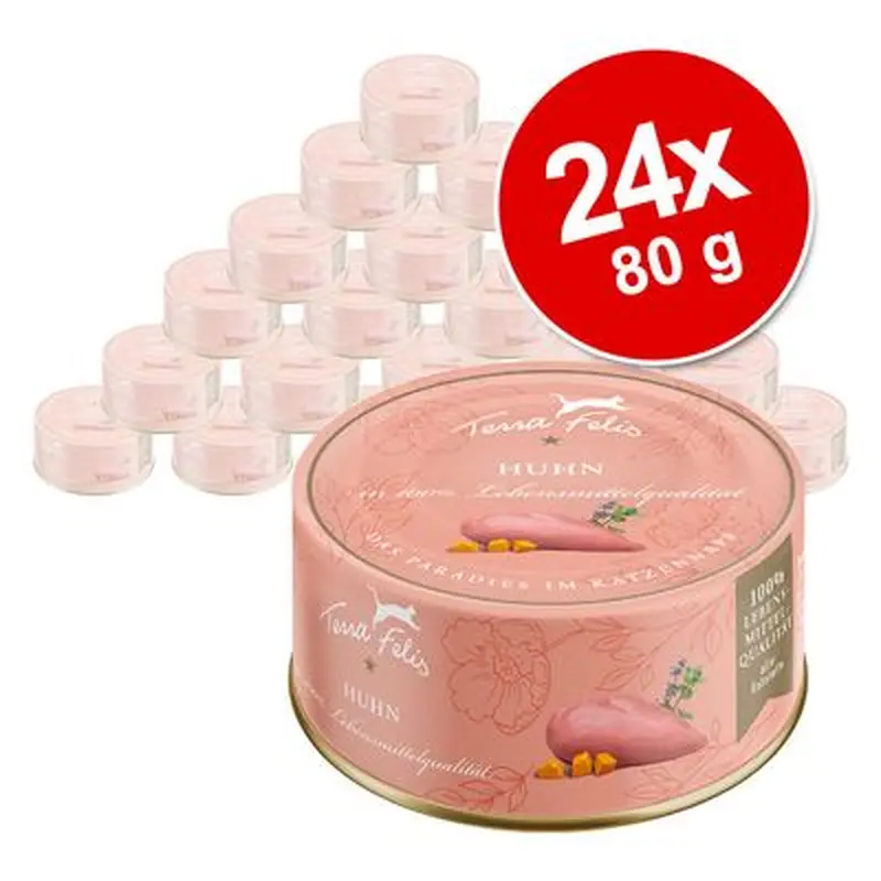 Saver Pack Terra Felis Complete 24 x 80 g - Beef