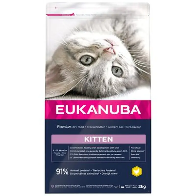 Eukanuba Healthy Start Kitten - 10kg