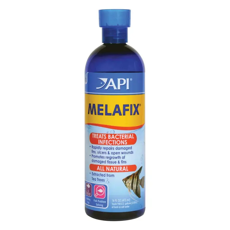 API Melafix Baterial Infection Remedy 16 fl. oz