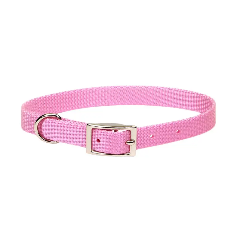 Coastal Single-Ply Nylon Collar Bright Pink 5/8 X 12in 