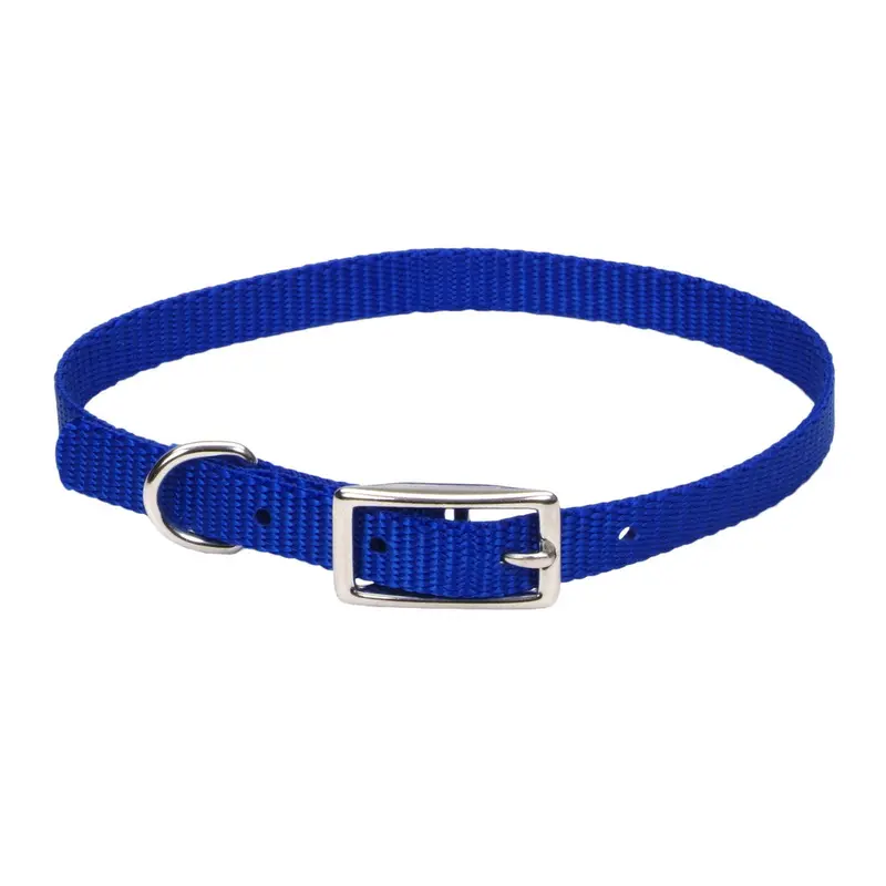 Coastal Pet Products Standard Nylon Small Dog Collar Blue 3/8" X 10"-