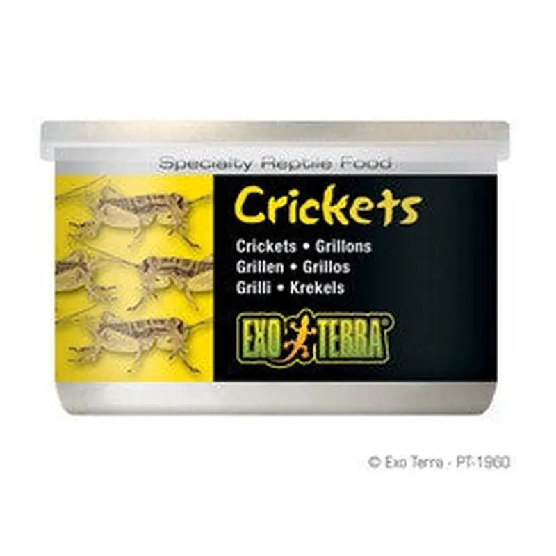 Exo Terra Crickets, Small Size, 1.2oz Pt1960