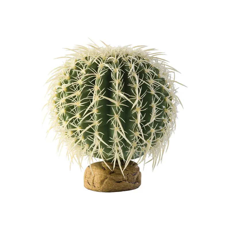 Exo Terra Plant Medium, Barrel Cactus Pt2985