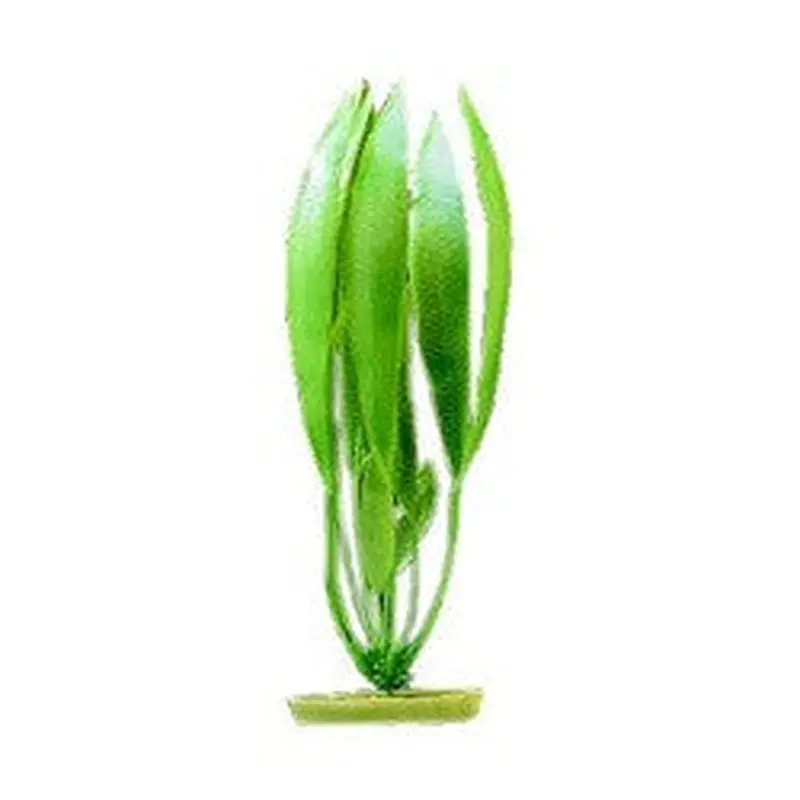 Aquascaper Amazon Sword Plant 12in Pp1201