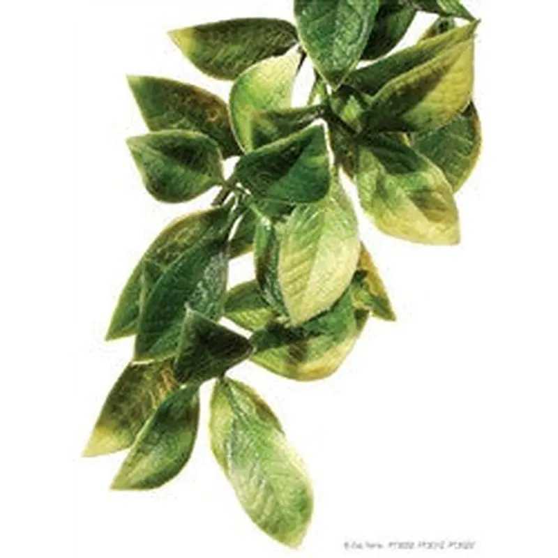 Exo Terra Plastic Plant Medium Mandarin Pt3012