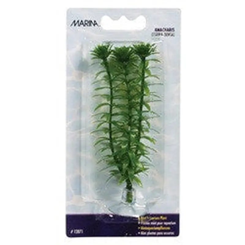 Marina Aquascaper Plant, Anacharis 12071