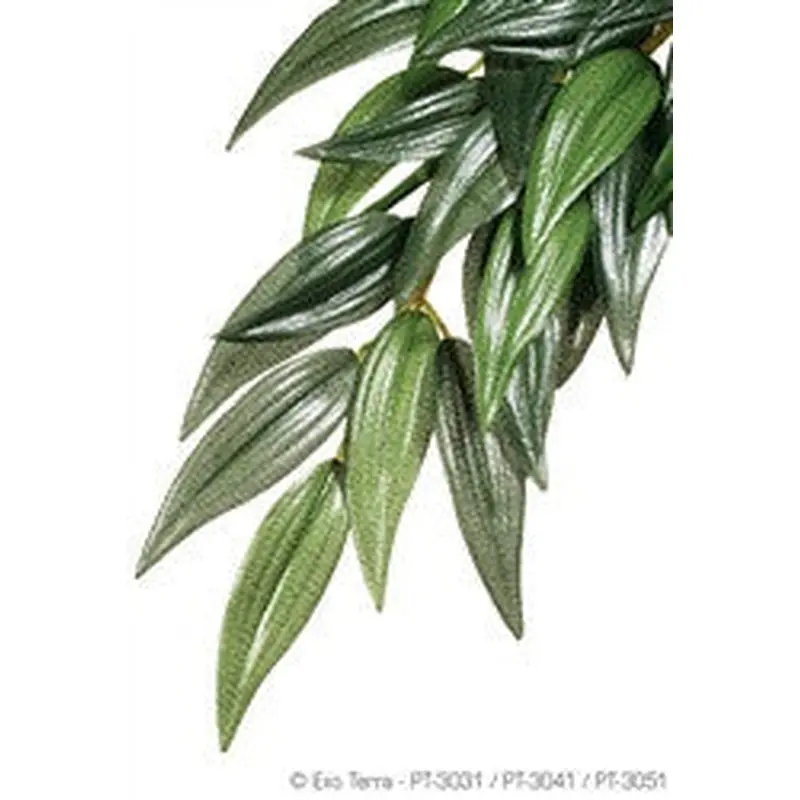 Exo Terra Silk Plant Medium Ruscus Pt3041