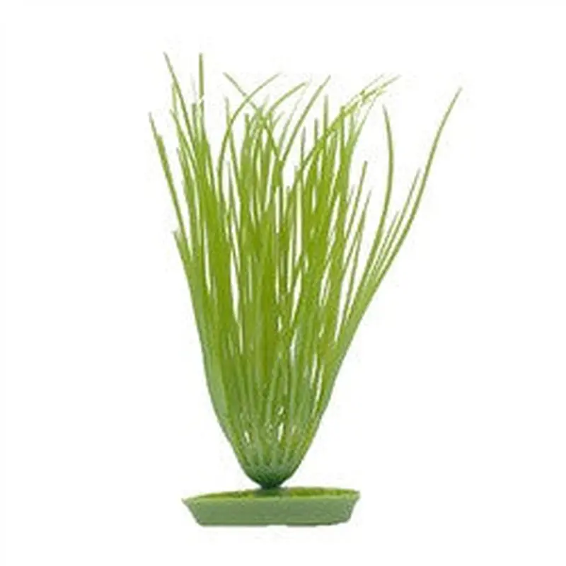 Hagen Marina Aquascaper Hairgrass 5in Pp511