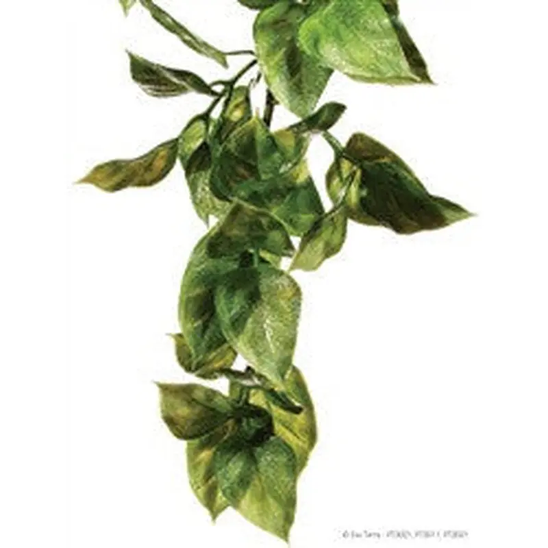Exo Terra Plastic Plant Medium Amapallo Pt3011