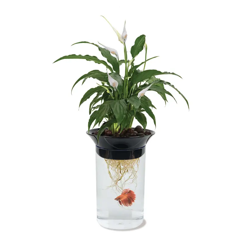 Penn-Plax Nature's Aqua Ponics Planter Betta Bowl Kit Clear, Black, Green 67.6 oz