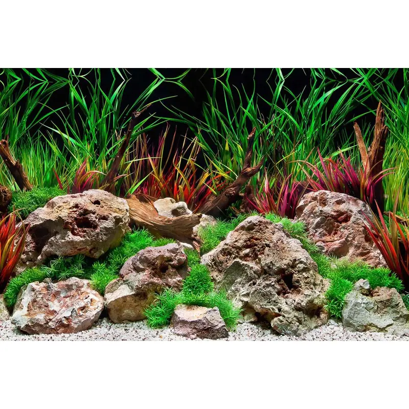 Seaview Double Sided Background Aquawild & Slateways 24 Inches X 50 Feet