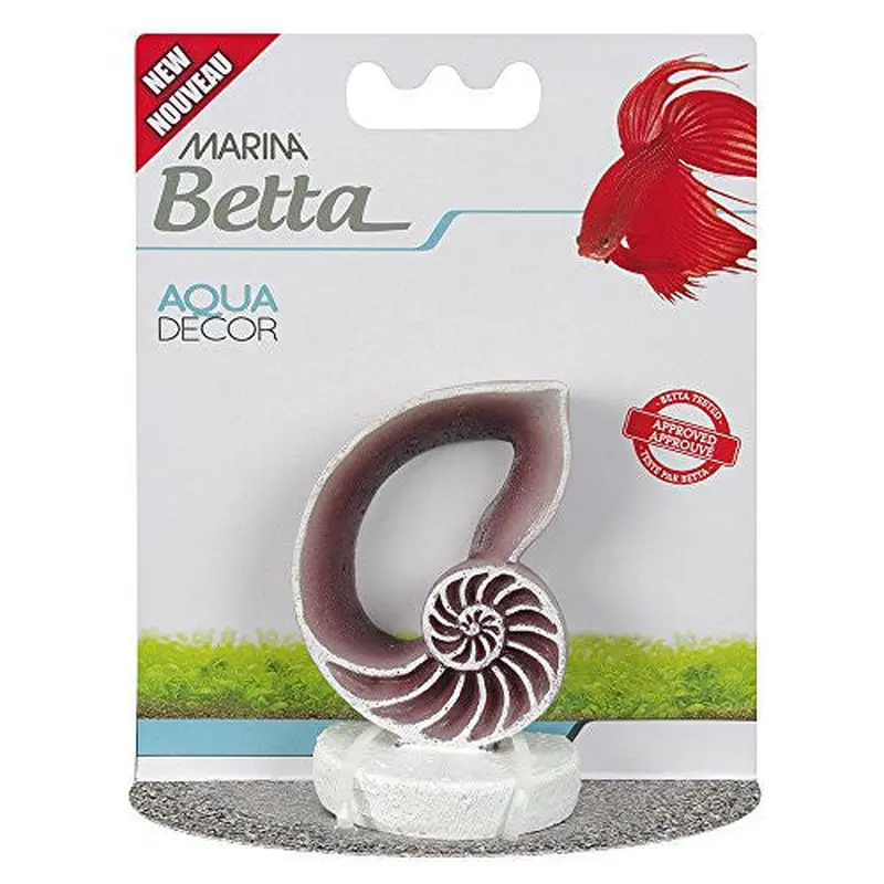 Marina Betta Ornament - Sea Shell 12232
