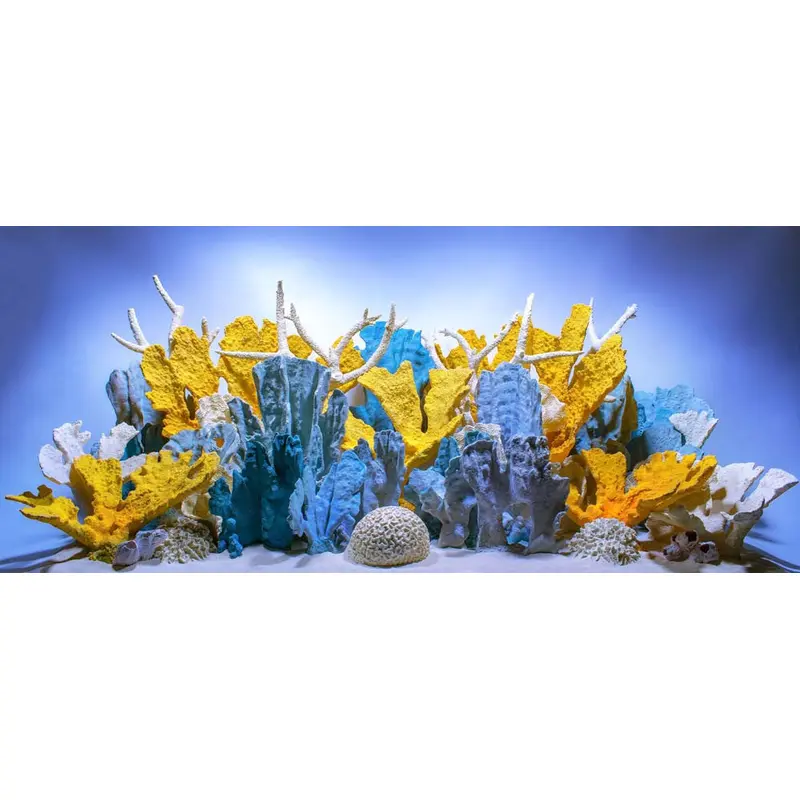 Seaview Double Sided Background Coral Bliss & Luscia Reef 24 Inches X 50 Feet