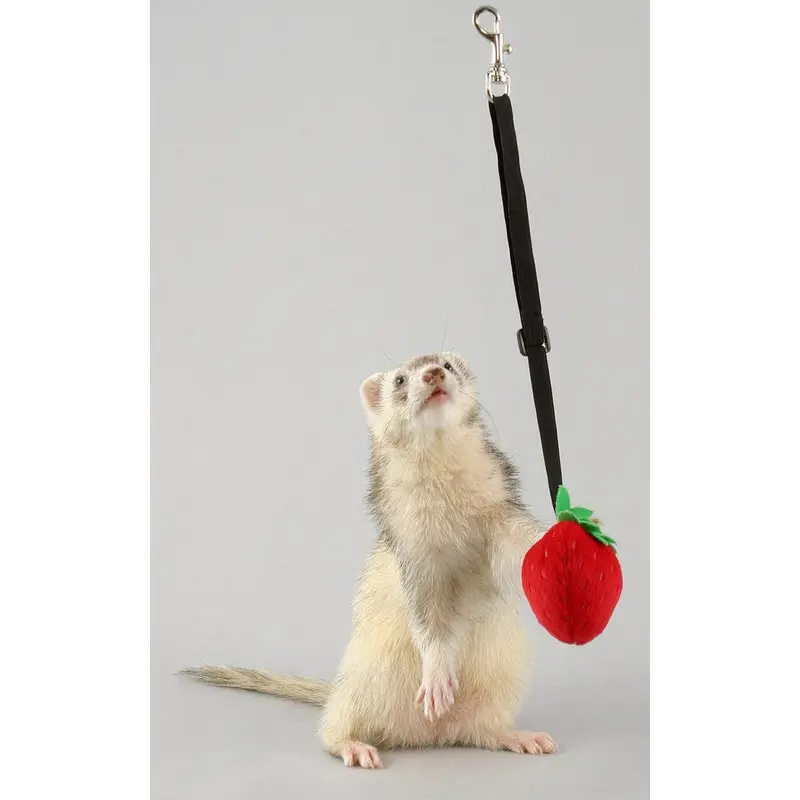 Marshall Ferret Bungee Toy Platypus Pink One Size