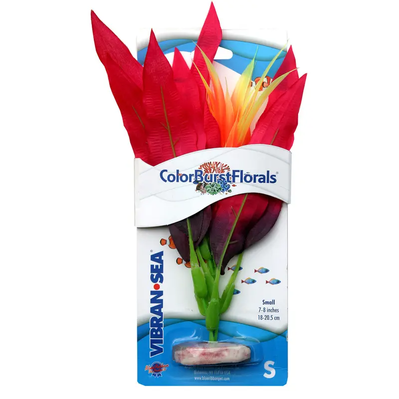 Blue Ribbon Colorburst Florals Amazon Sword Aquarium Plant Red SM