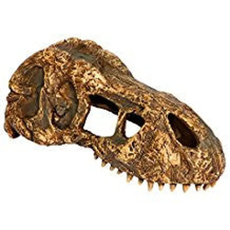 Exo Terra T-rex Skull Small Pt2860