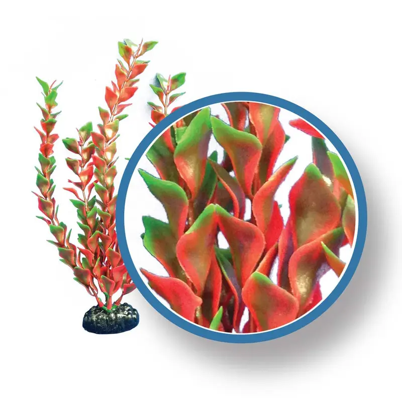 Weco Freshwater Pro Series Ludwigia Aquarium Plant Red 12 in