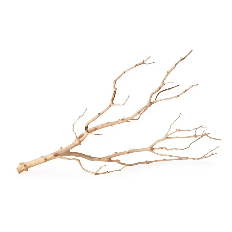 Galapagos Staghorn Wood Manzanita Branch Brown 19 in - 24 in