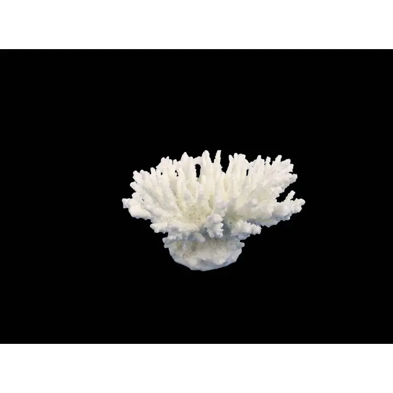 Weco South Pacific Coral Tabletop Ornament White XXS