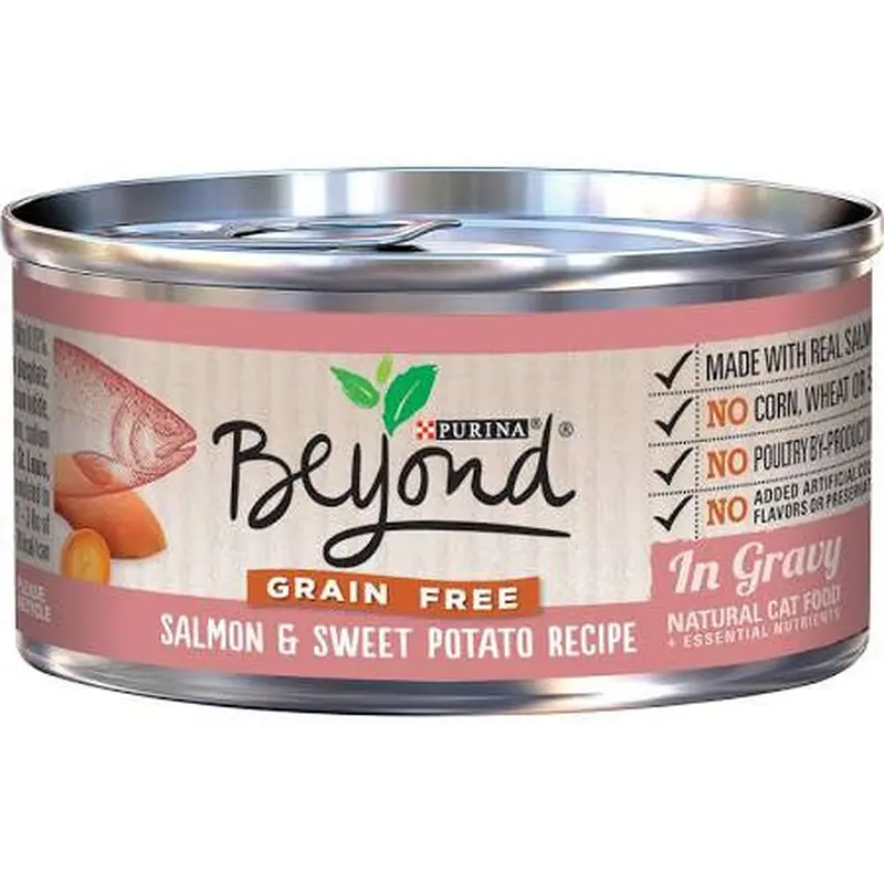 One Beyond Salmon/Sweet Potato Gravy Cat 12/3z 