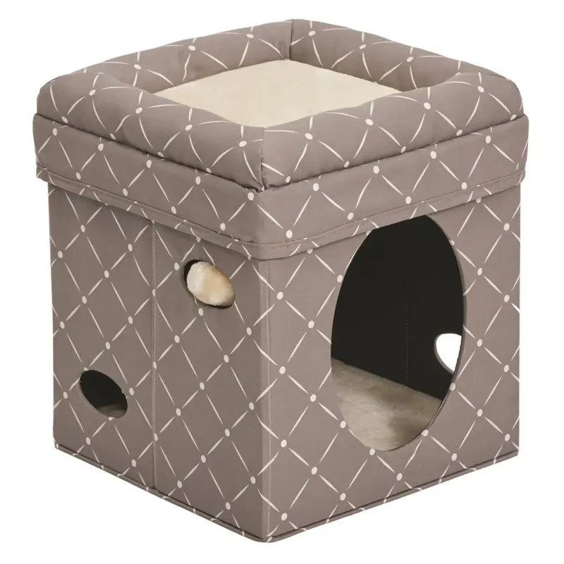 CURIOUS CAT CUBE MUSHROOM 
