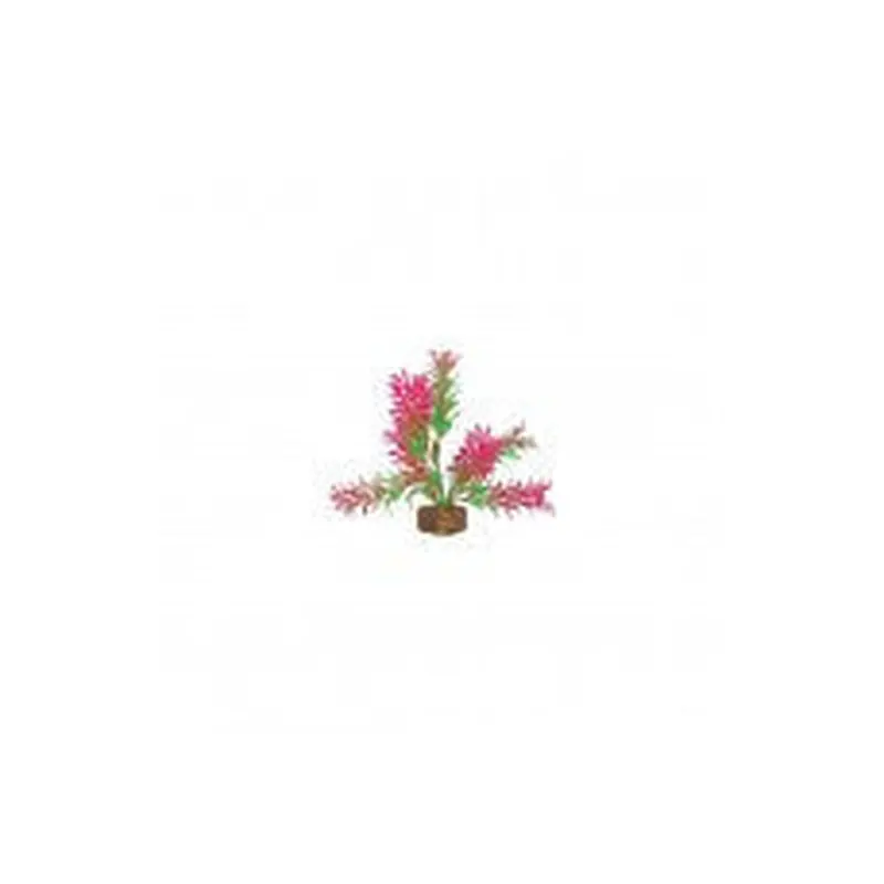Tetra GloFish Plant Green/Pink - Small 