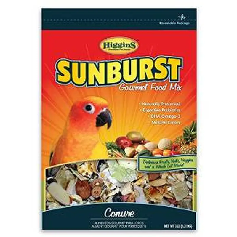 Higgins Sunburst Conure 3lb 