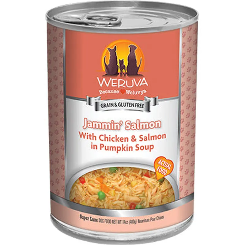 Weruva Jammin' Salmon Can Dog 14oz / 12pk 