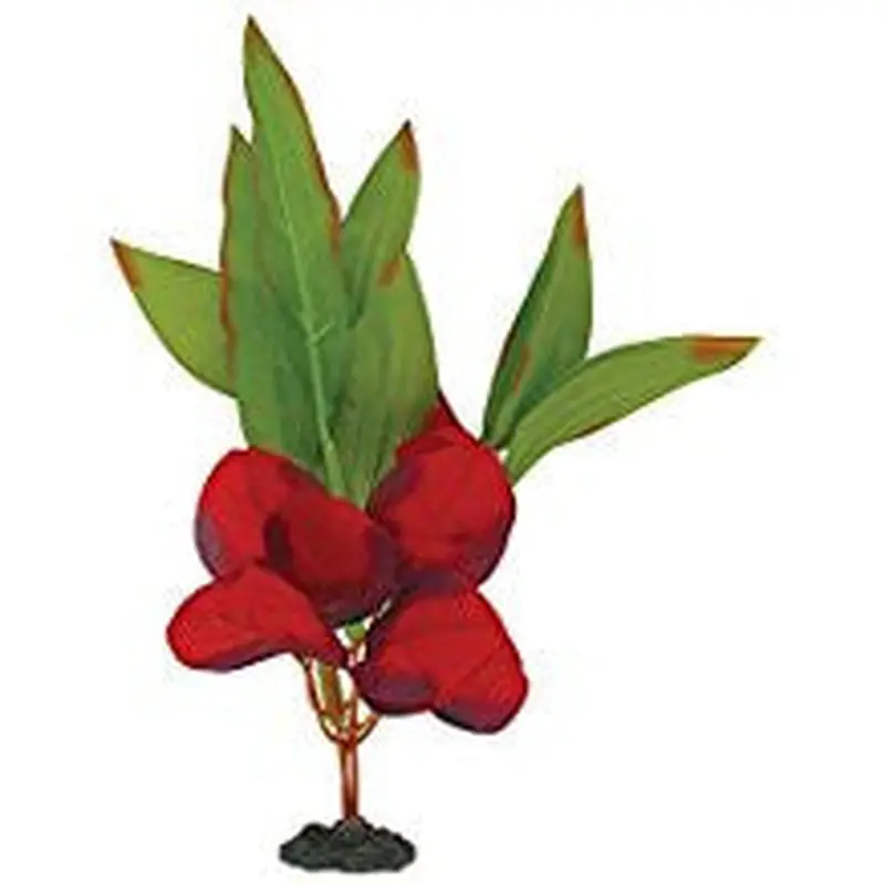 Marina Naturals Red and Green Sword Leaf Plant Medium Pp110