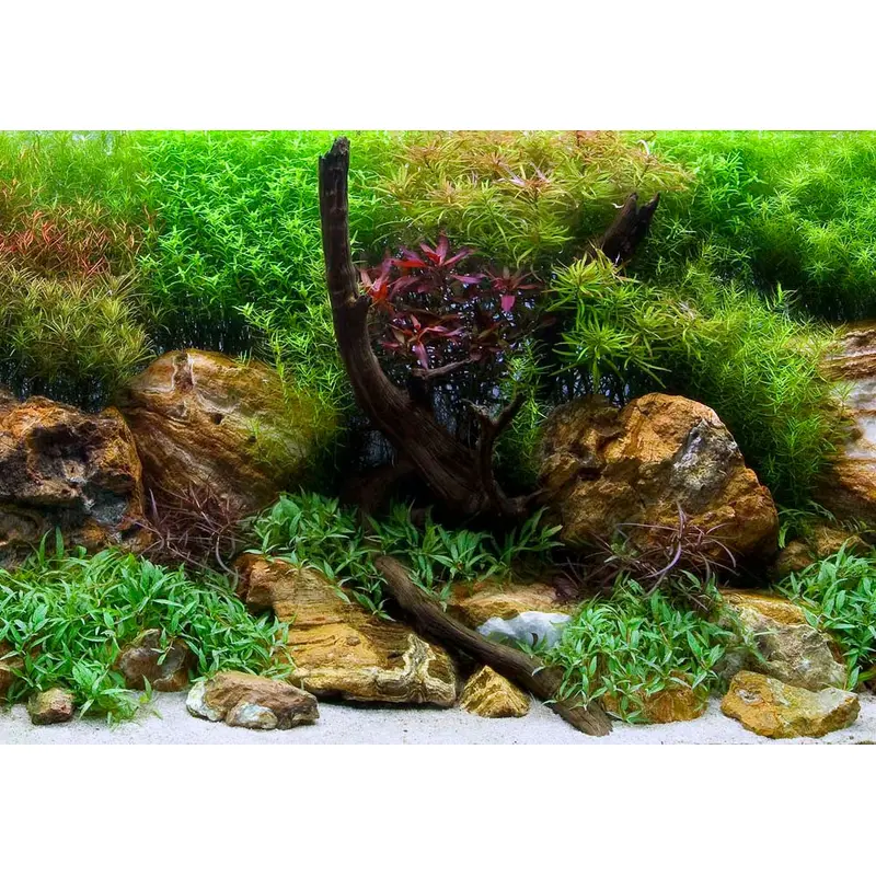 Seaview Double Sided Background Aqua Garden & Bright Stone 12 Inches X 50 Feet