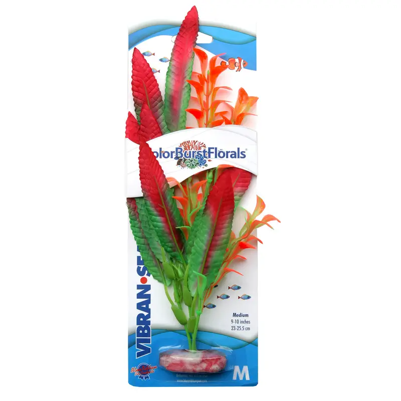 Blue Ribbon Colorburst Florals Crispus Aquarium Plant Red MD