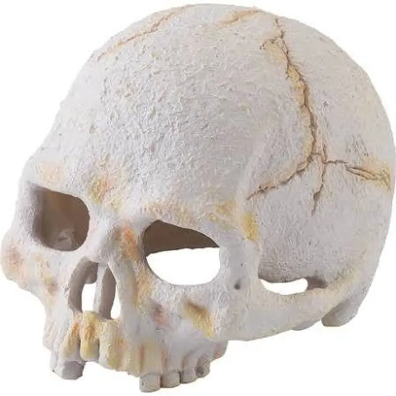 Exo Terra Primate Skull Small Pt2926