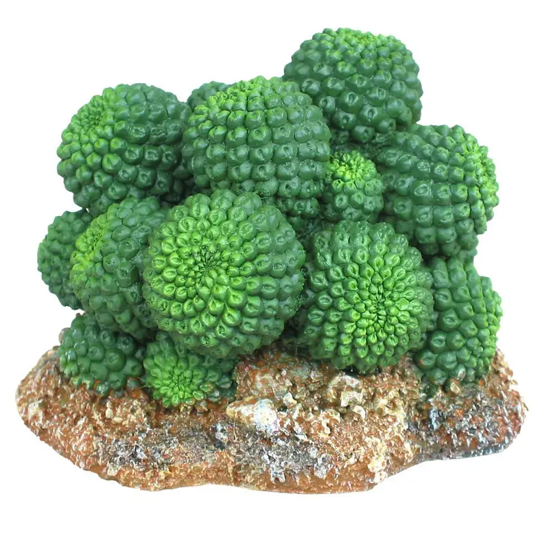 Weco Wecorama Badlands Sonoran Cactus Terrarium Ornament Brown, Green 2.92 in