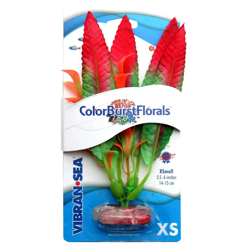 Blue Ribbon Colorburst Florals Crispus Aquarium Plant Red XS