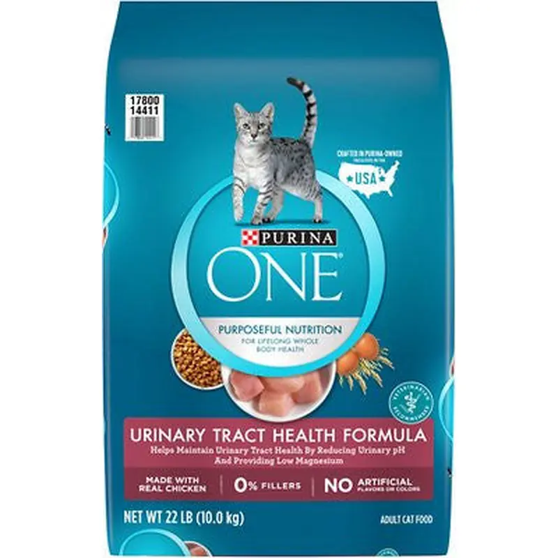 One Uth Form Cat 22#