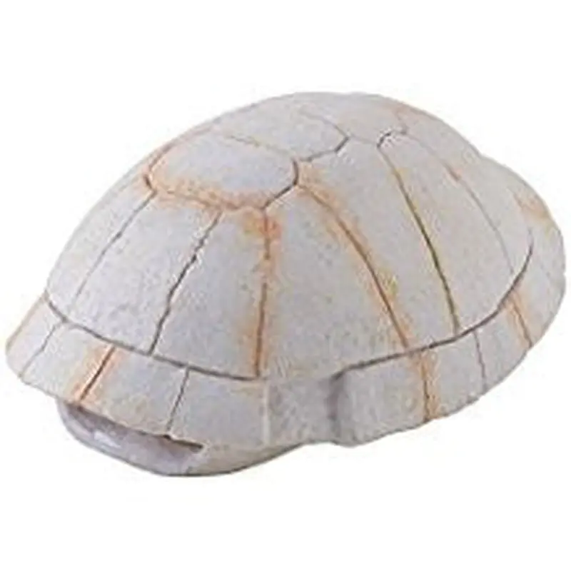 Exo Terra Tortoise Skeleton Pt2927