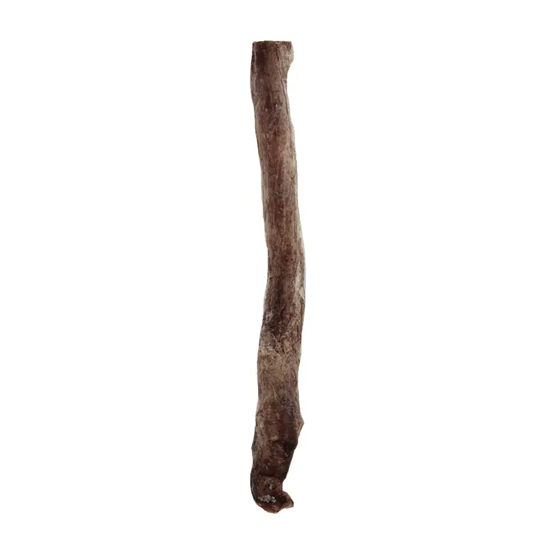 Vital Essentials Freeze Dried Bully Stick